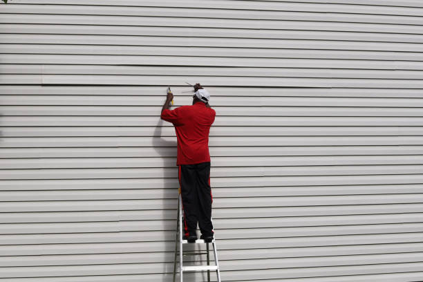 Best Siding Painting and Refinishing  in Havre, MT